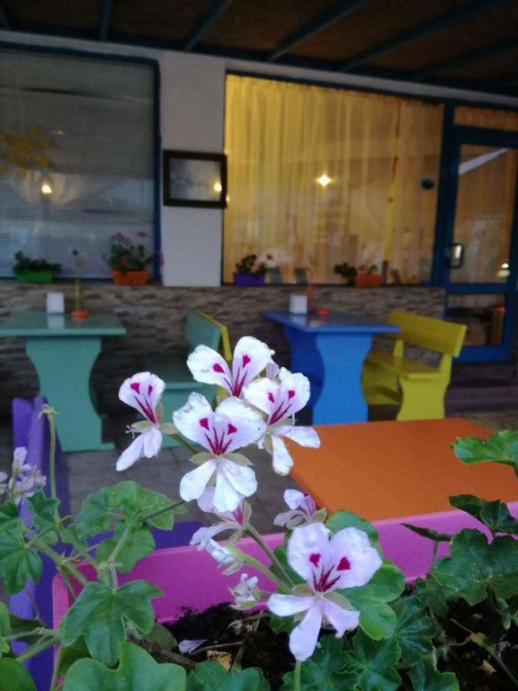 Alba Family Club Hotel Primorsko Exterior foto